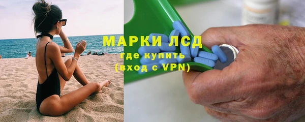 индика Бугульма