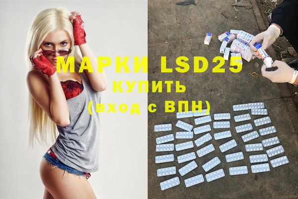 эйфоретик Покачи