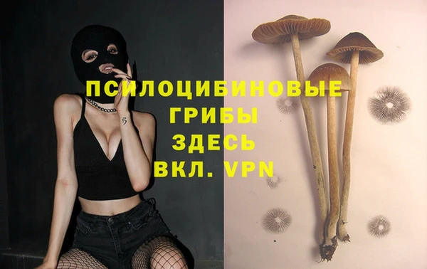 не бодяженный Пролетарск