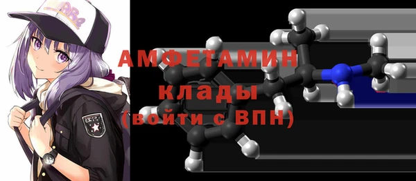 твердый Протвино