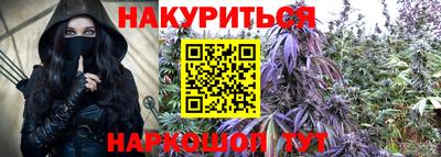бошки Гатчина