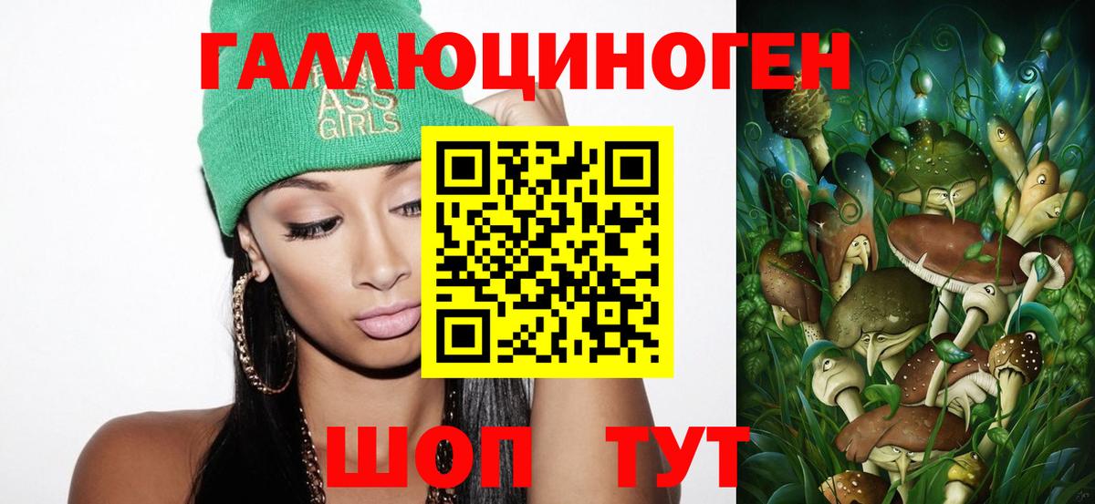 Галлюциногенные грибы Psilocybe  Вход с VPN  Клин 